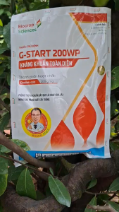 [TRUNG THIEN THINH] Trừ cháy bìa lá lép hạt lúa G-STAR 200WP gói 250 gram