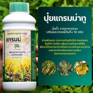 **ชุดของแพ็กเกจ** เร่งการดูดซึม ชนิดพิเศษ เอฟอชสารจับใบ AFORCH ขนาด 1000 ซีซี (1 ขวด) แกรมม่าทู จอมยุทธ์ ปู 1000 ซีซี (1 ขวด)