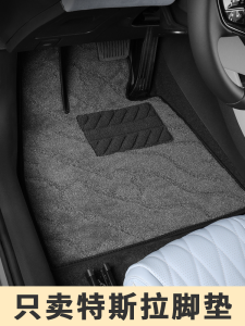 Tesla Model 3 Model Y Custom Car Floor Mats Carpet Style Mat Anti Slip Durable Easy to Clean Auto Accessories by LAZY WOLF