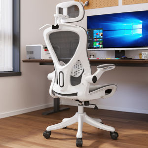 MOLORE | Ergonomic Comfortable Long-Sitting Waist-Protective Office Chair
