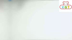 JF Magic spin mop 2Heads 360 rotating easy floor mat- Z055