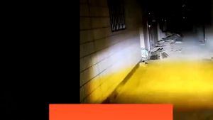 LAMPU SOROT D2 LASER 2 MODE NYALA KUNING PUTIH PNP / LAMPU TEMBAK MOTOR D2 LASER SEPAKET 2 PCS