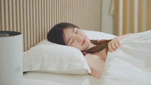 5 Years Warranty Air Purifier(Prevent allergies PM2.5 wifi )purifier air for room with HEPA filter