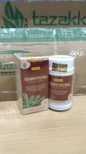 TAZAKKA Ekstrak Kapsul Daun Tempuyung 60 Pil Obat Infeksi Saluran Kemih Kencing Herbal Batu Empedu