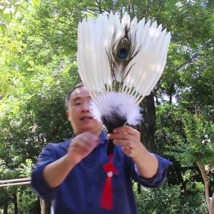 Traditional Style White Single Layer Kongming Fan R Craft Fan Chinese Style 16 Geng Goose Feather Fan Zhuge Liang Feather Fan