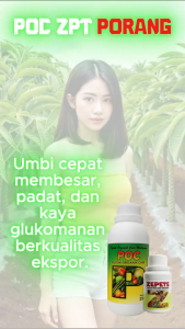 Paket Pupuk Porang Cepat Besar & Berat | POC + ZPT Porang Booster Umbi Organik Unggul