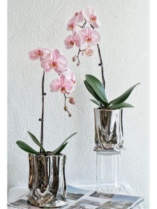 Bình Hoa Sứ Mạ Bạc Sang Trọng Bình Hoa Treo Tường Trang Trí Phòng Khách Bình Hoa Phong Cách Hiện Đại Bình Hoa Trang Trí