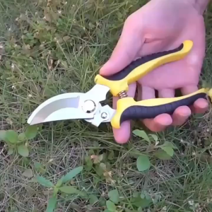 【ซื้อ 3 แถม 1】กรรไกรจัดสวน กิ่งไม้ทำสวน เครื่องมือเครื่องตัดแต่งสวน กรรไกรตัดผลไม้ ก้านหนาตัดแต่ง กรรไกรตัดแต่งกิ่ง ประหยัดแรงงาน SK5 กรรไกรแต่งกิ่ง กรรไกรสแตนเลส กรรไกรสำหรับตัดแต่งกิ่งไม้ ดอกไม้ เครื่องมือจัดทำสวน