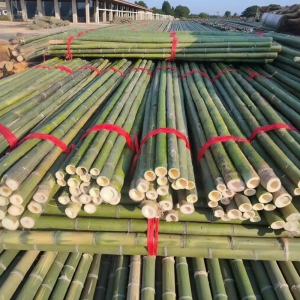 NAIFUNA | Garden Support Fine Bamboo Poles