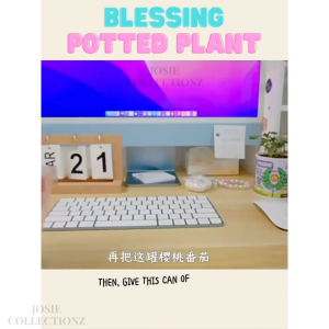 Kids DIY Plant Kit Blessing Series Easy to Grow Party Favour
