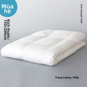 kaiminya ono | Chăn Lông Ngỗng Trắng 95% Lông Padded
