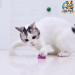 กัญชาแมว กัญชาบอล Catnip Ball ขนมแมว เพื่อผ่อนคลาย สมุนไพรแมว ผลิตภัณฑ์แมว ผลิตภัณฑ์ใหม่ ให้เหมียวผ่อนคลาย ูปทรงผ่อนกันชา อารมณ์ดี PA23