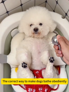 Pet Bath Brush Long Handled Bath Massage Brush Grooming Brush Relaxing Skin Organizing Hair Pressing Silicone Brush