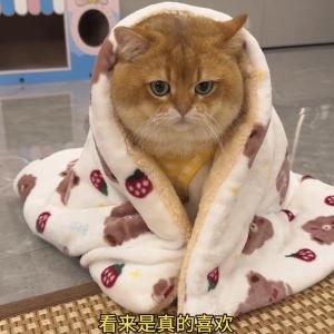 Thick Plush Pet Mat Cat Bed Winter Warm Blanket Dog Sleeping Pad Soft Cozy Floor Mat for Cats And Dogs Home Comfort Accessories