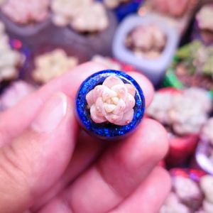 Miniature Thumb Size Cute Succulent Plant Pot Super Small Dessert Cut Cake Style Modern Simplicity Resin Material Flower Pot