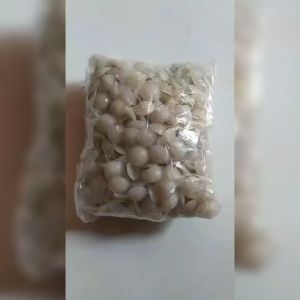 paku payung nylon PAKU ROTAN Paku kursi paku bakpao paku ulir pengganjal kaki meja nilon kepala plastik kepala pvc putih mebel furnitur furniture