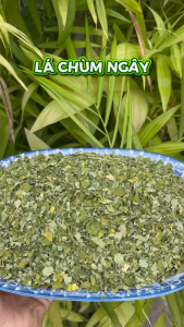 Lá Chùm Ngây Khô 1kg Nguyên Chất Loại 1 - Dược Liệu Tấn Phát