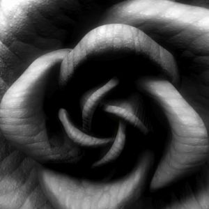 Remove Vaginal Odor & Itchiness: Antibacterial Anti-Yeast Infection Wash