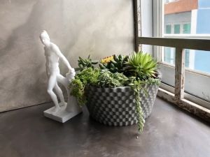 Combo 6 chậu xi măng cao cấp trồng cây cảnh mini CORI 11x8.5 cm trồng xương rồng sen đá lithops decor nhà ở quán cà phê bàn làm việc