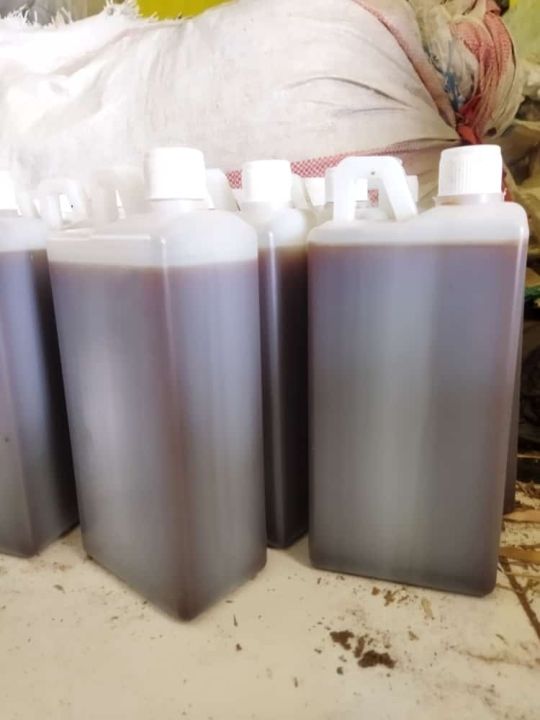 Urin Kambing Murni Fermentasi(Pupuk Cair 1lt)