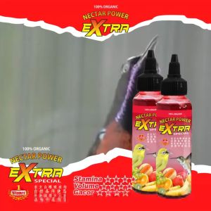 NEKTAR KOLIBRI SOGON PLECI HARIAN DAN LOMBA EXTRA POWER 100ML