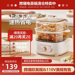 Mini Electric Steamer Pot Stainless Steel Combination Breakfast Machine Home Use Small Size European Regulation 110V US Regulation Taiwan