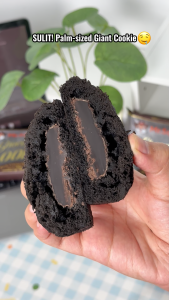 Mr.Squirrel Chocolate Cookies 100g Chocolate filled Choco Sandwich Cookies