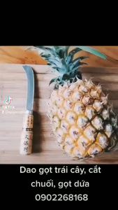 Dao gọt hoa quả cắt chuối gọt dứa bổ trái cây hàng nội địa Trung Quốc thép không gỉ siêu sắc bén tay cầm cán gỗ