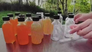 12Pcs 60ml Sample Boston Bottle Clear with Lids & 3 Funnels