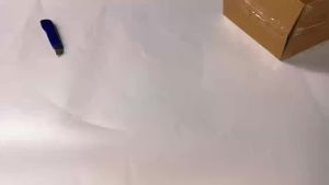 Halloween Decorations Outdoor Scary 55" Sound & Sensor Activated Halloween Ghost Decorations with Creepy Sound Motion Light Up Eyes Animatronic