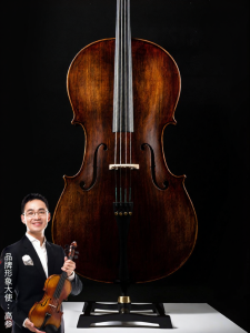 Christina | Beginner to Advanced Professional Grade Real Wood Cello