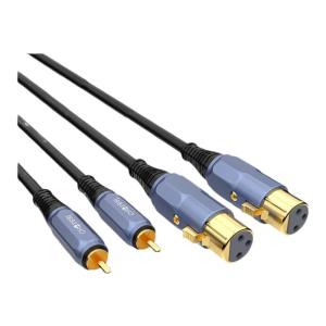Choseal | RCA to Dual XLR Audio Connection Cable