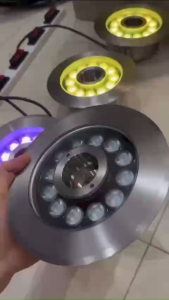 Đèn bánh xe toàn thân INOX 6W đèn Led âm nước lắp cho đài phun nước