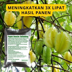 Pupuk Booster Belimbing: Cara Meningkatkan Pertumbuhan & Produksi