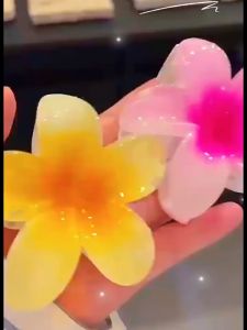 Phụ Kiện Kẹp Tóc Hoa Sứ Lưng Đầu Tóc Móng Vuốt Kẹp Phong Cách Hawaii - Size To- 7 Màu Lựa Chọn