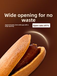 Premium Northeastern Open Shell Pine Nuts 500g Bulk Original Flavor Large Kernels from Changbai Mountain in Heilongjiang Province