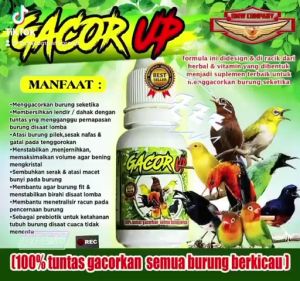 Gacor Up Penggacor Suplemen Vitamin Burung muraibatu/kacer/cucakijo