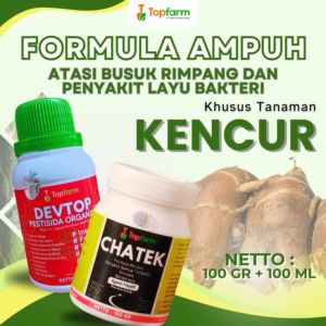 Pestisida Topfarm / Obat Buat Tanaman Kencur / Obat Semprot Daun Dan Buah Kencur / Obat Buah Kencur Terbaik / Obat Hama Jamur Kencur / Obat Untuk Tanaman Umbi Kencur