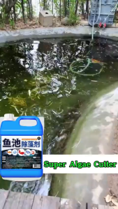 ✨Stays clear for 3 months✨algae remover for fish pond 2.5L Removes odors & fishy smells algae remover