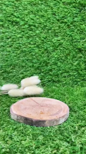 Madu Sehat Mata Bio Gold Herbal Kesehatan Mata Merah Plus Minus Silinder Bilberry 280gr Original