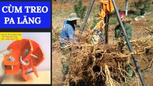 Giá móc treo palang nhiều loại thuận tiện sử dụng