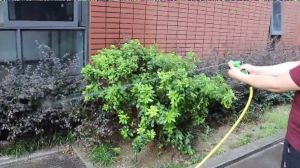 YIKUO Selang Air Cuci Motor 10 Meter: Manfaat & Penggunaan