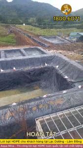 Bạt lót ao hồ 6m x 3m dày 0.5mm bảo hành 5 năm