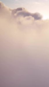 Herborist Olive Oil + Collagen - Minyak Pelembab Penghalus Pengencang Kulit Tubuh - 75ml/150ml