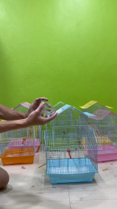 กรงนก เคลือบกันสนิม ขนาด 30x23x45/34x27x51 CM เหมาะเลี้ยงนกหัวจุก หรือพันเล็กก็สามารถเลี้ยงได้ เช่นฟอฟัส