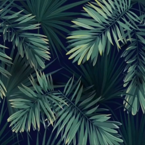 Halex Cypermethrin 5.5% 100ML 250ML 1L