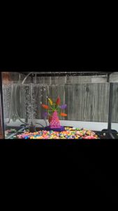 Dekorasi Kincir Angin Nikita Rolling Scoop Clam Aquascape Aerator Angin Di Dalam Aquarium Aksesoris