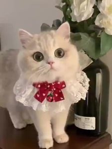 Cat Dog Neckerchief Pet Cats Kitten Dog Puppy String Necklace Necktie Neck Strap Scarf Accessories