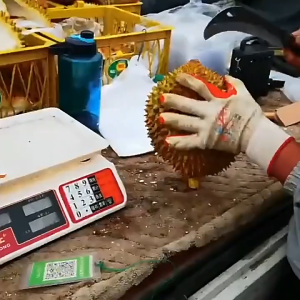 Multi Purpose Sharp Knife Butcher Knife Durian Knife Kitchen Knife