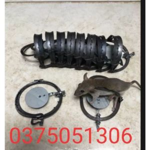 Cạm Bẫy Chuột Bắt Sống Thông Minh 9Cm..Loại1